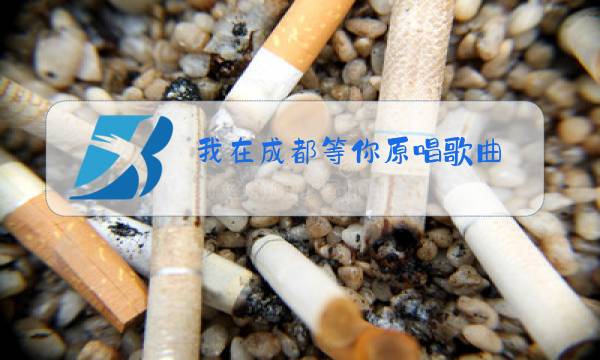 我在成都等你原唱歌曲 DJ图片